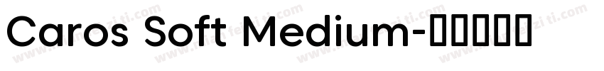 Caros Soft Medium字体转换